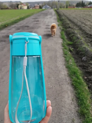 HydroPaws: Portable 550ml Water Bottle & Foldable Bowl for On-the-Go Adventures photo review