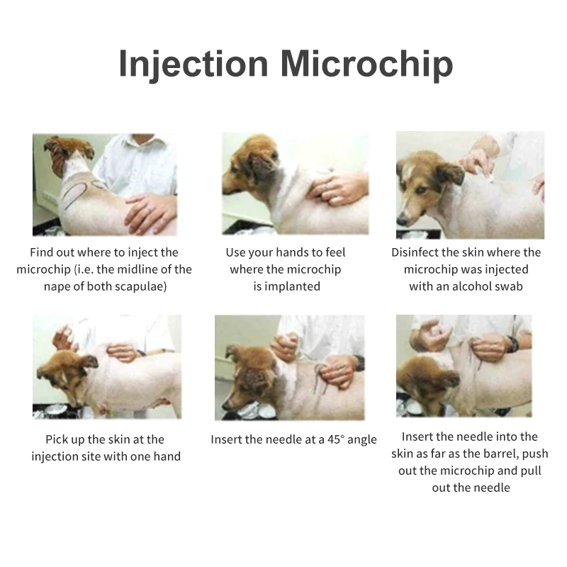 20PCS Animal Syringe ID Implant Pet Chip ISO11784/85 FDX-B RFID Injection Pet Microchip for Dog Cat Identification 6