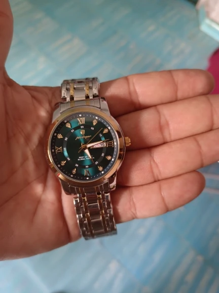 POEDAGAR Luxury Watch for Men photo review