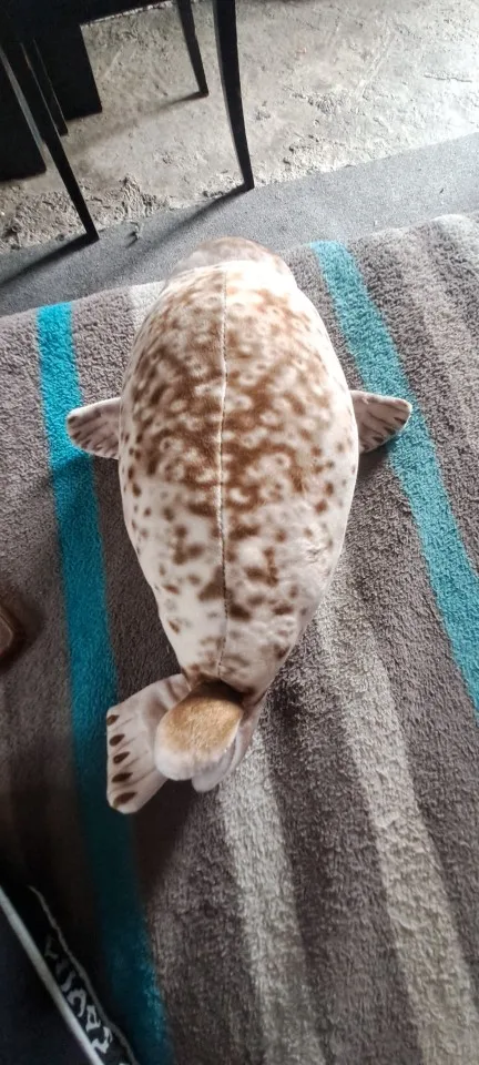 Foquinha Serena Fofeza® de Pelúcia