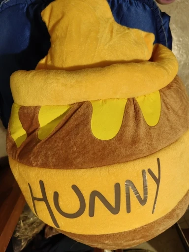 Honey Haven: Cat Bed House with Removable Plush Mat in Honey Jar Shape photo review