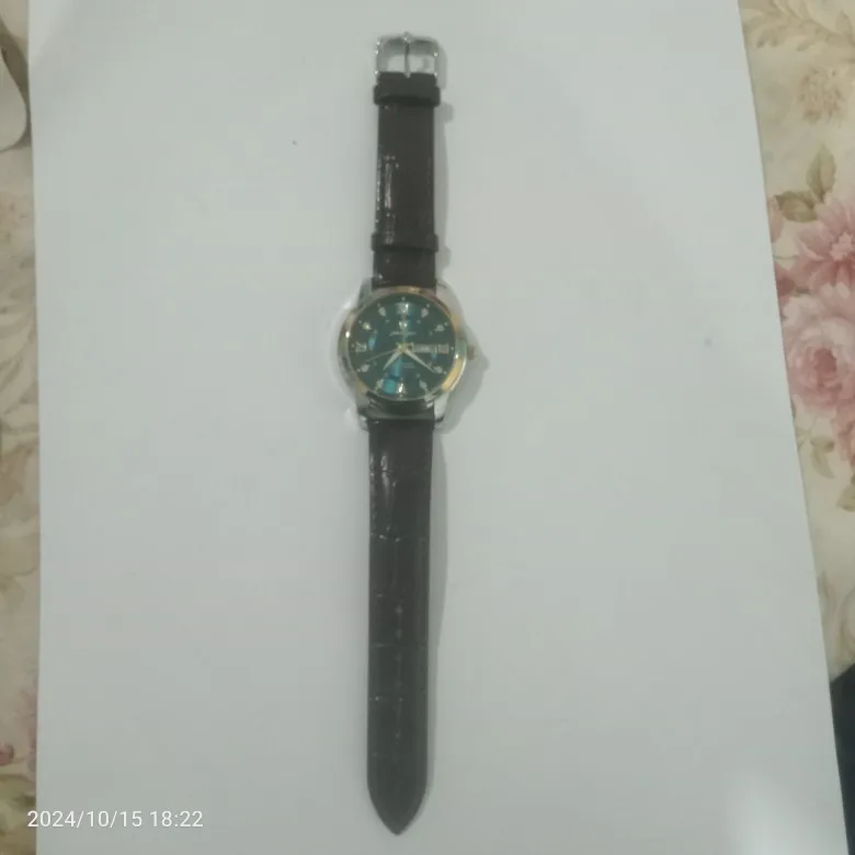 POEDAGAR Luxury Man Wristwatch photo review