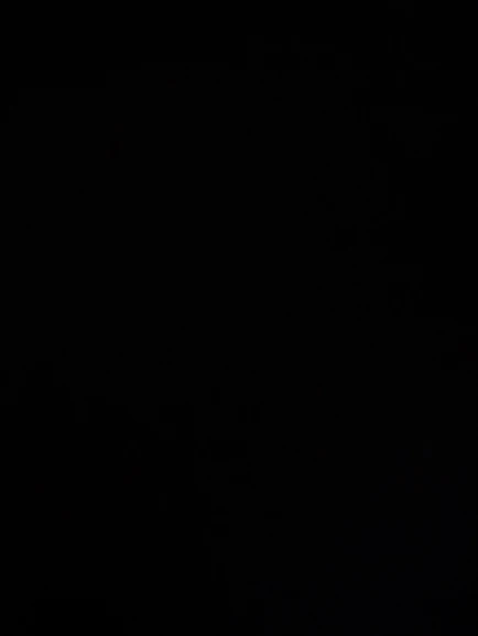 Balança Corporal Bioimpedância Profissional Bluetooth - Neverdie Store photo review