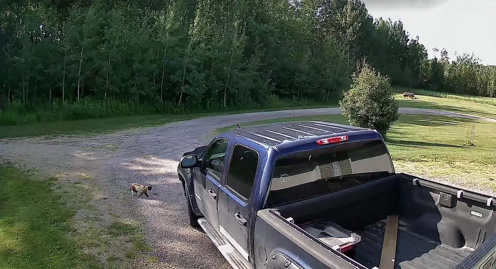 Mini Câmera H9 Wifi HD 1080P photo review