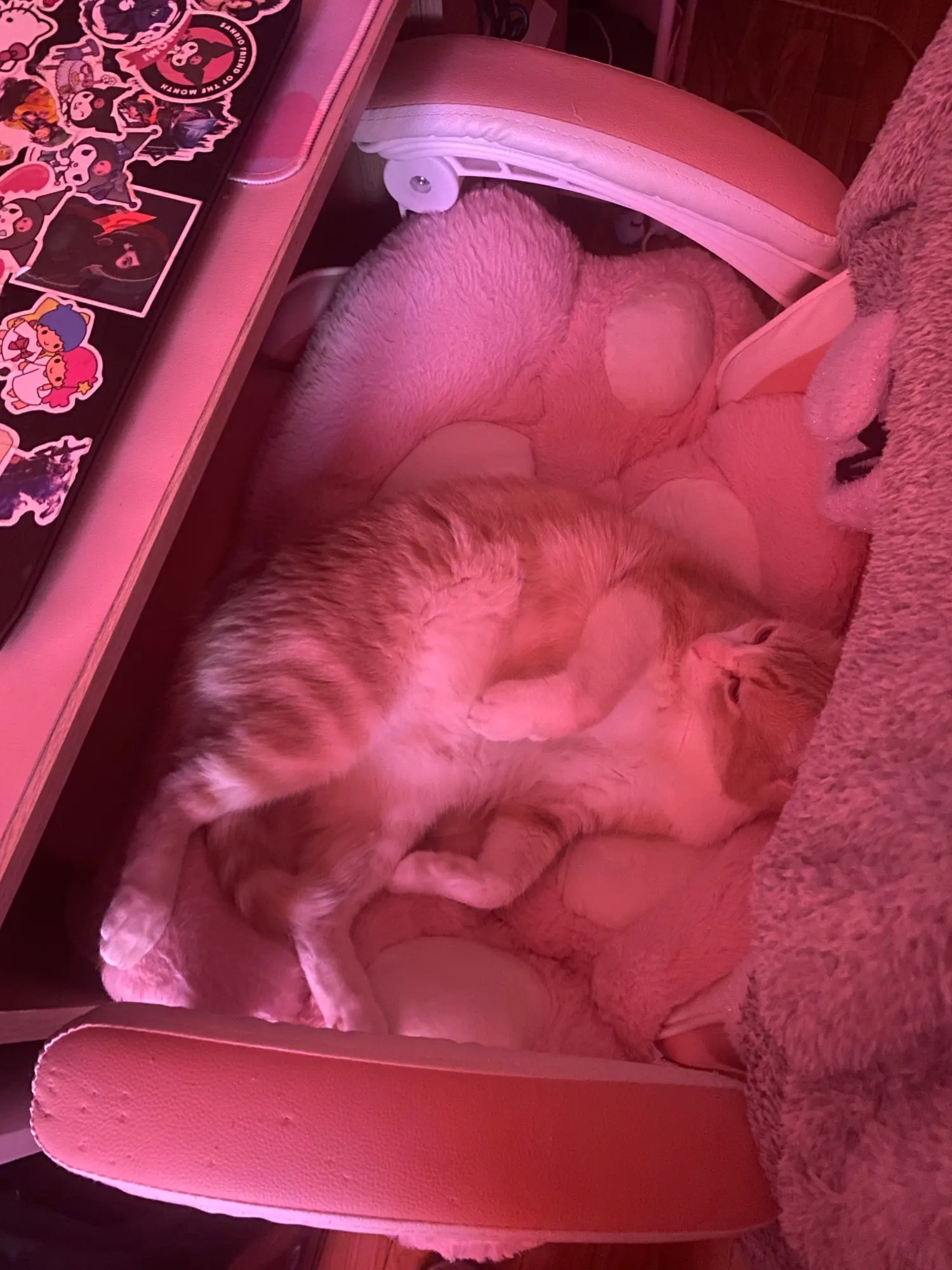 Almofada Patinha Fofeza® de Pelúcia