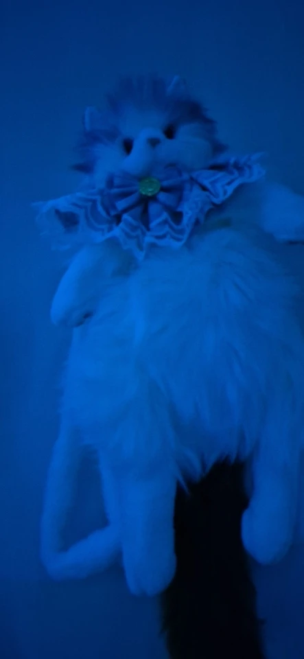 Fluffy Chonker Bag photo review