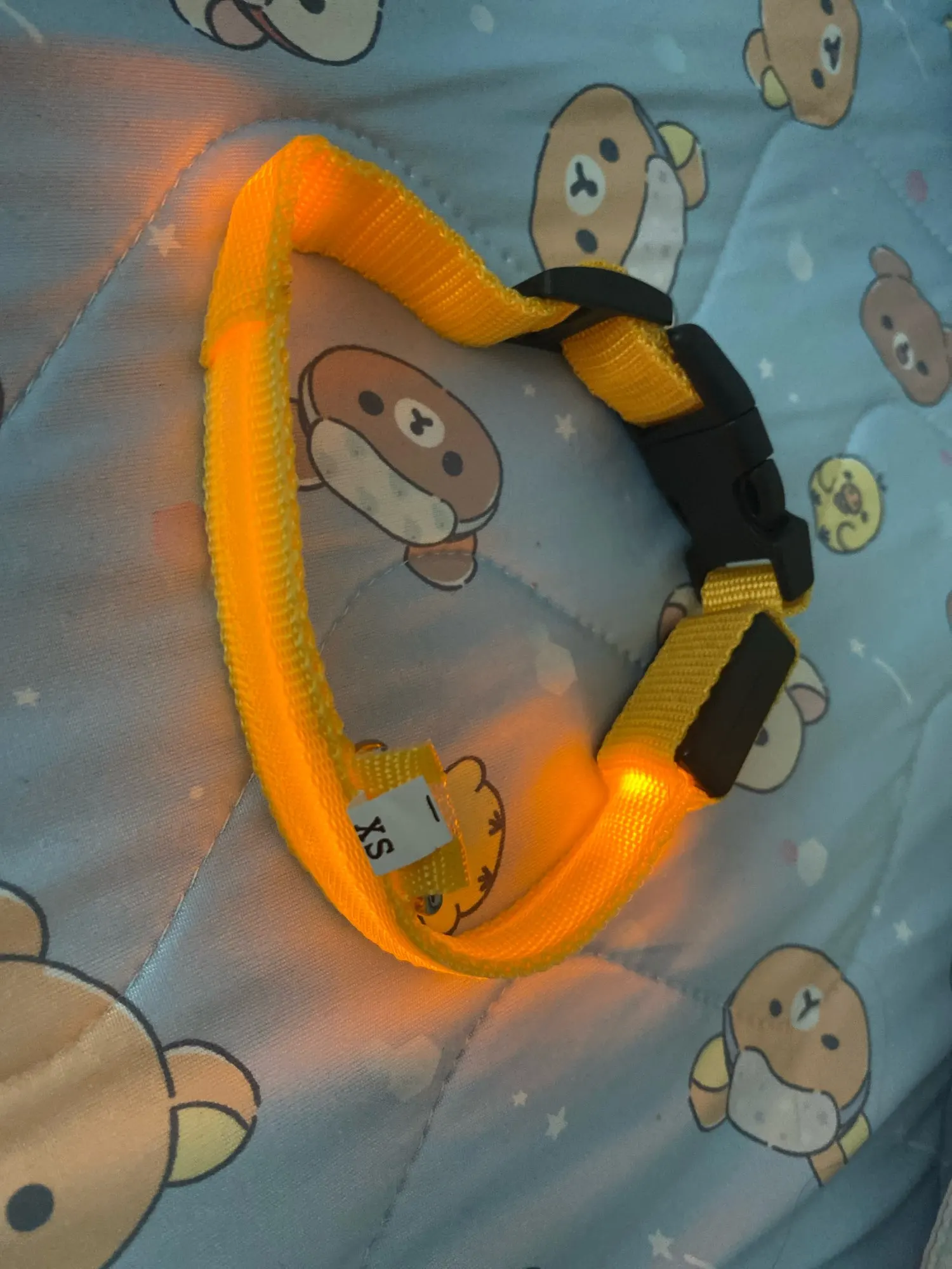 GlowSafe – Leuchtendes Halsband & Leine für maximale Sichtbarkeit bei Nacht photo review