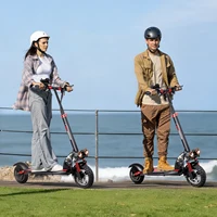Trottinette électrique SUNNIGOO pour adulte, 10 pouces, tout-terrain, batterie lithium 48V, vitesse maximale ​ ​ Trottinette électrique pliable 45 km/h avec siège, longue autonomie, puissante, capacité de montée élevée, portable, étanche IP54 7