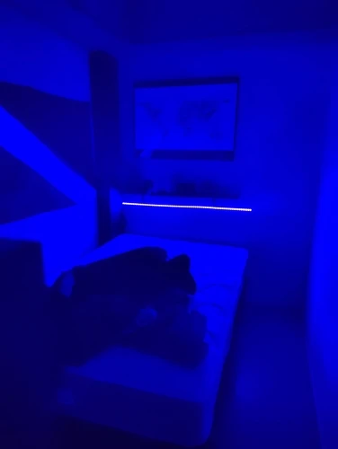 2835 SMD UV DC 12V 5M LED Light Strip Ultraviolet Strip Light photo review