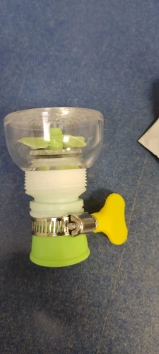 Recensione di Silvia