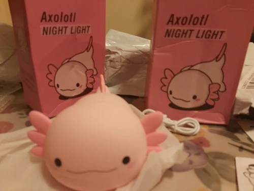 Silicone Rechargeable Nursery Lamp with Touch Control - USB Rechargeable Table Lamp photo review