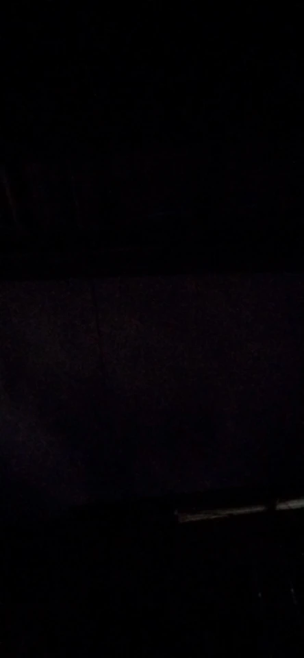 Escova Polvo Detangler para Cabelos Cacheados - Sortido - Desembarace com Facilidade e Realce a Beleza dos Seus Cachos photo review