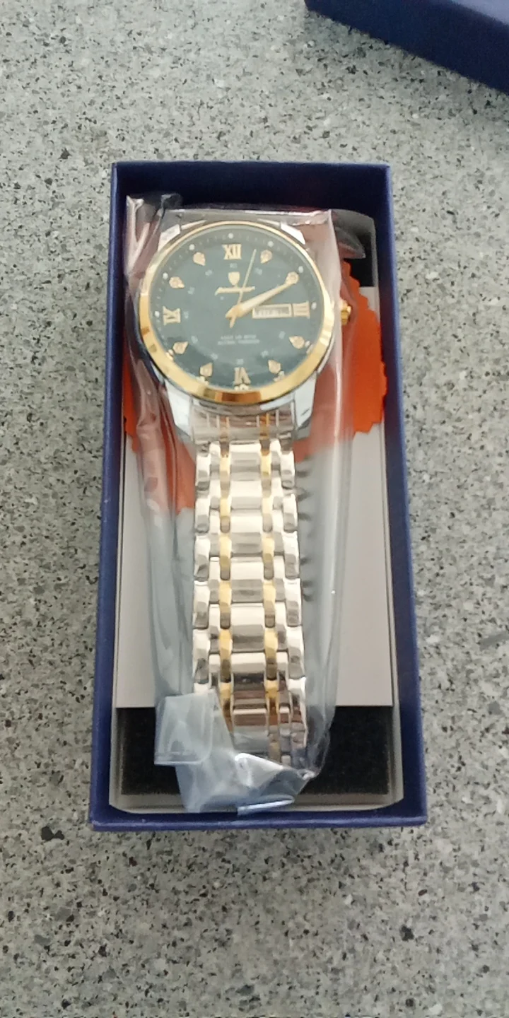 POEDAGAR Luxury Watch for Men photo review