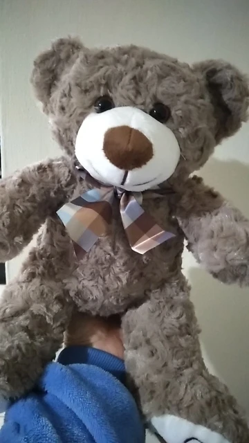 Kawaii Teddy Bear Plush Pillow photo review