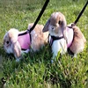 Breathable and stylish pet vest-style harness with adjustable soft strap and elastic leash set, suitable for rabbits and cats 2