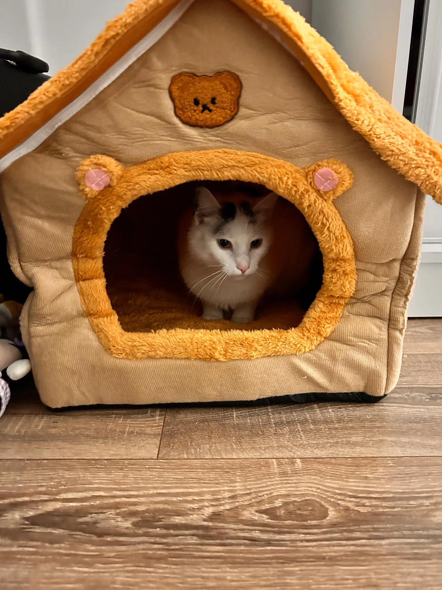 Cozy Foldable Pet House photo review