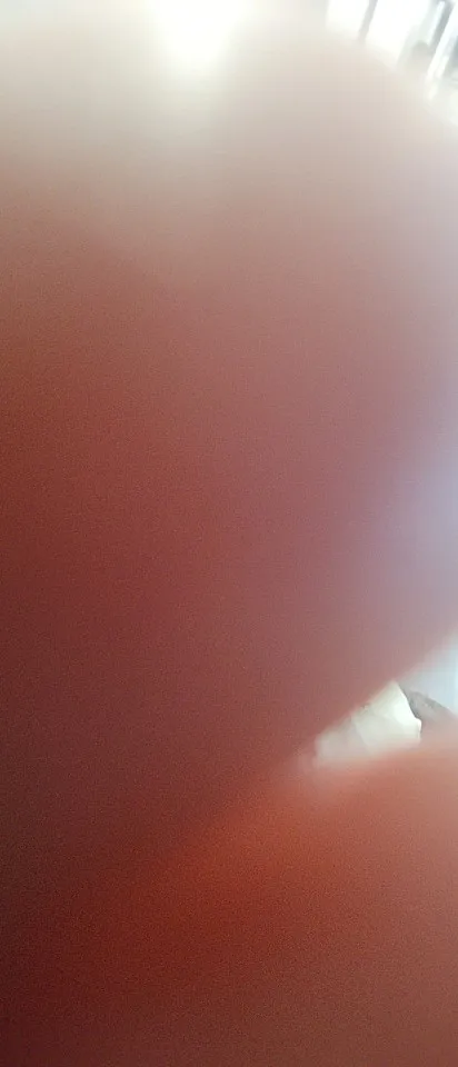 Stainless Steel Rose Gold Color Ring for Women photo review