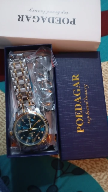 POEDAGAR Luxury Watch for Men photo review
