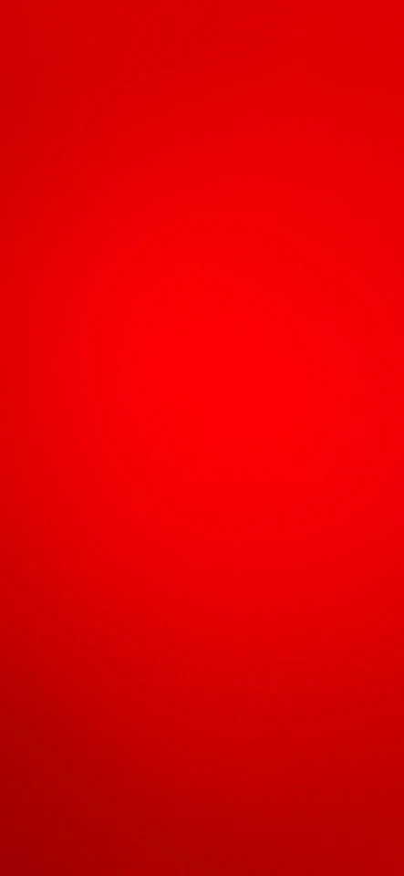 Mesh Foldable Pet Carrier photo review