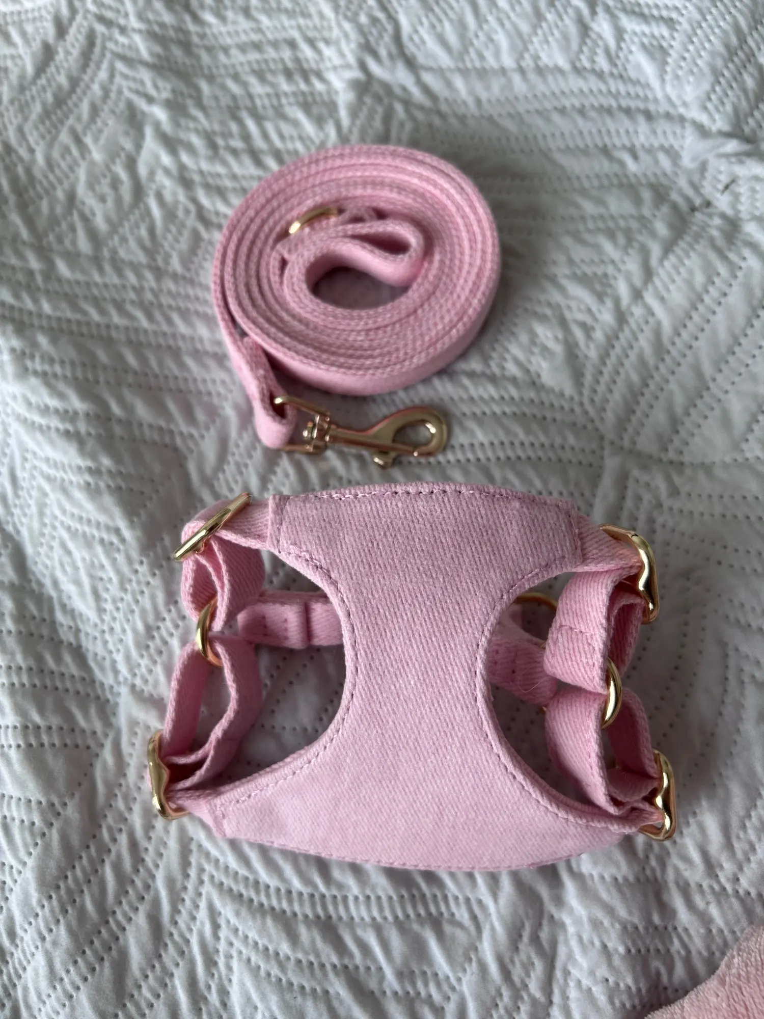 Stripe Walk: Cotton Mesh Harness and Leash Set for Small Dogs and Cats photo review