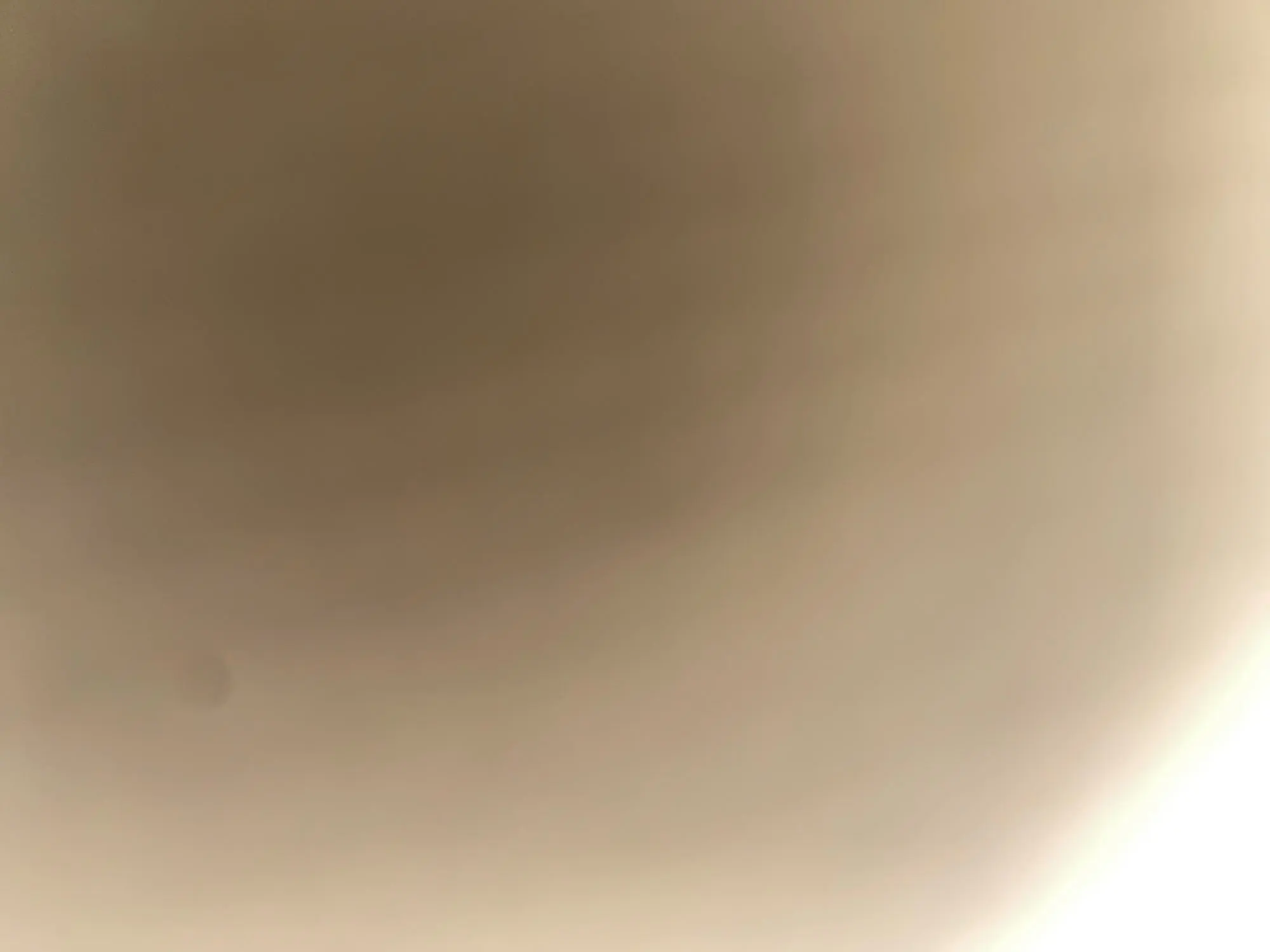 Women’s High-Waist Pleated Belted Skort photo review