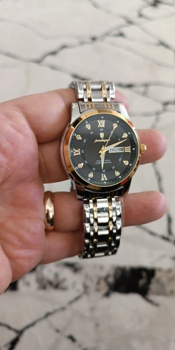 POEDAGAR Luxury Watch for Men photo review