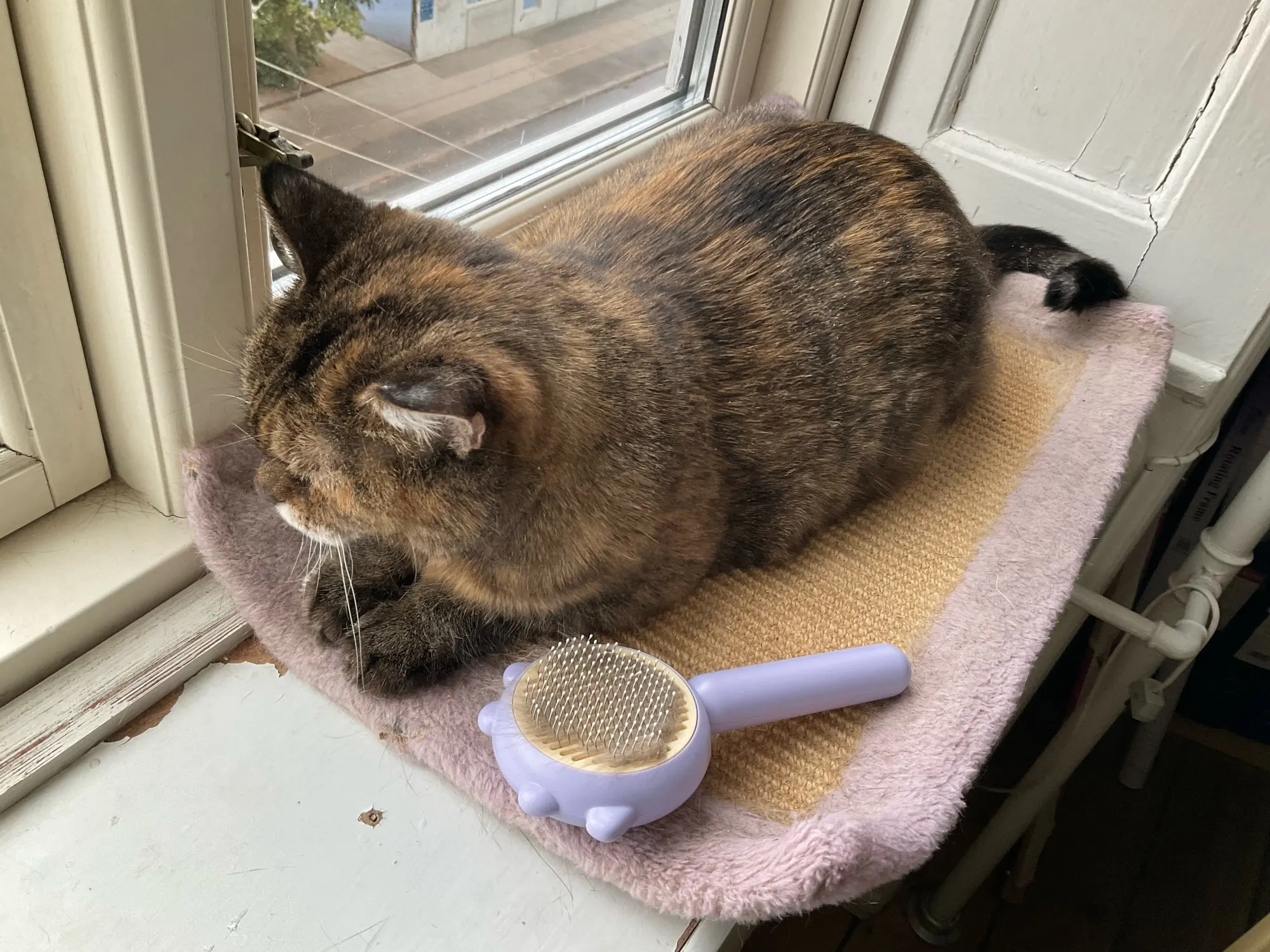 Pet Hair Cleaner Brush photo review