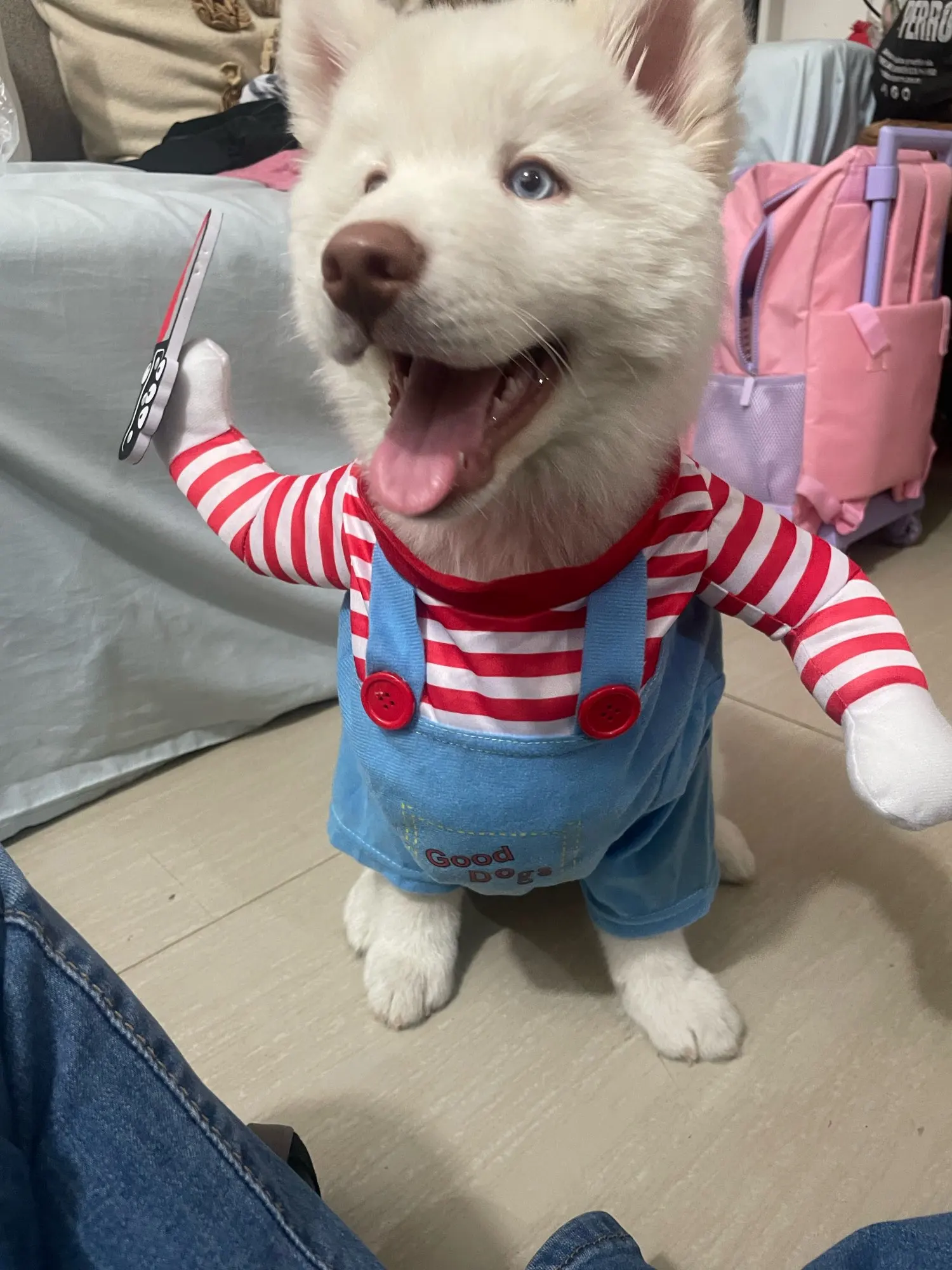 Halloween Funny Dog Clothes Small Medium Large Dogs Cat Cosplay Pets Dress Up Puppy Pullover Chihuahua Costume Party Pet Outfits