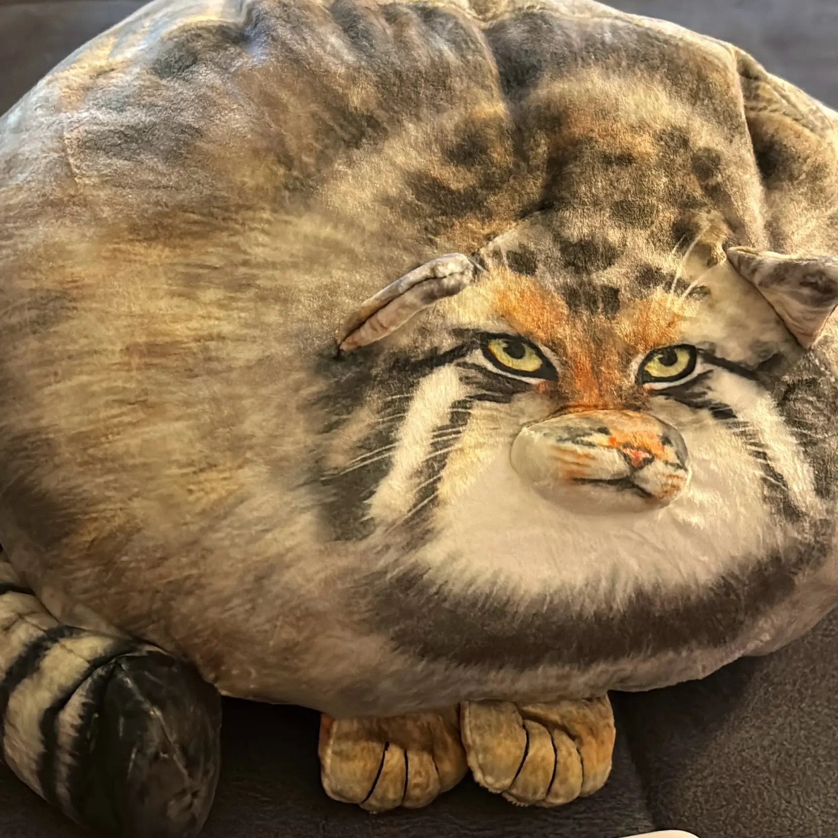 Chonky Realistic Palla's Cat photo review