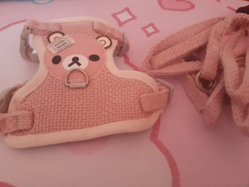 Sweet Cartoon Bear Harness - Pastel Colors For Dogs photo review
