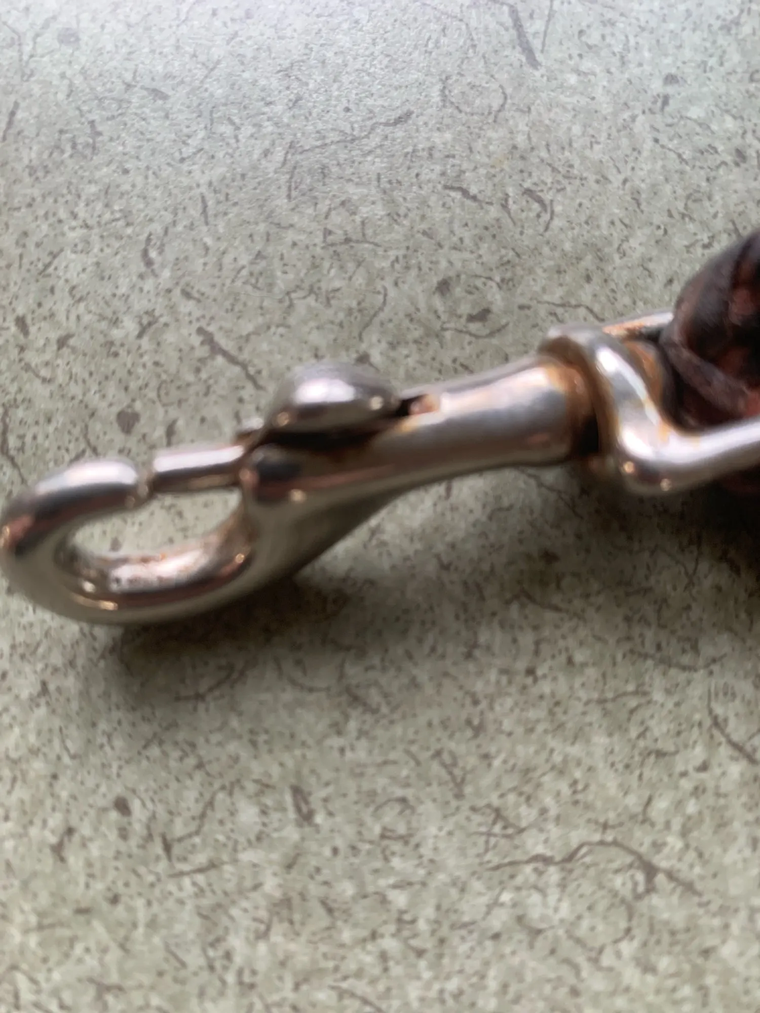 Braided Bliss: Rolled Leather Leash for Small to Medium Pets photo review