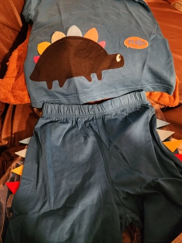 Boys Grey Dinosaurs Print T-shirt and Shorts Clothing Set – 2-7 year photo review