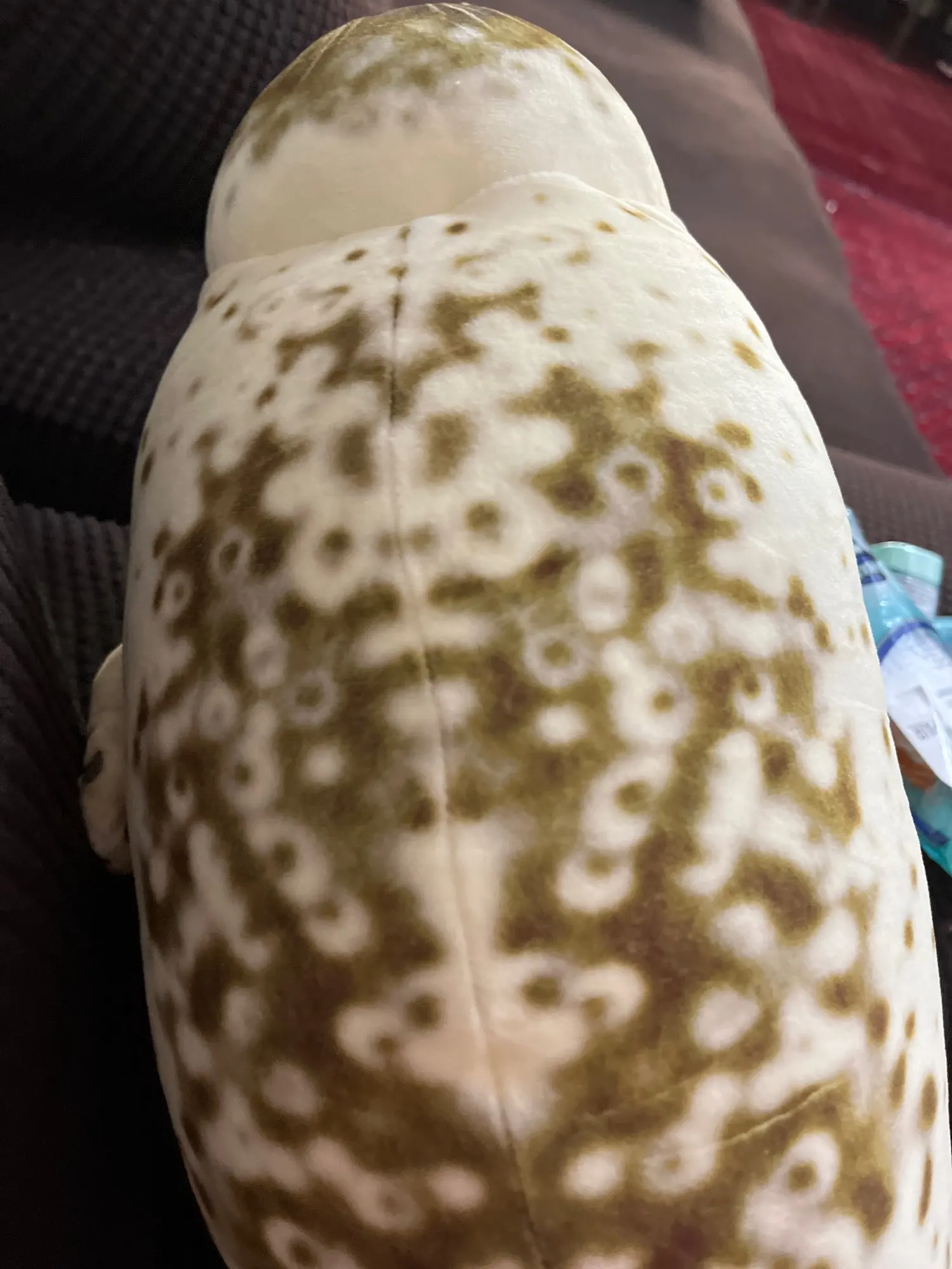 Foquinha Serena Fofeza® de Pelúcia