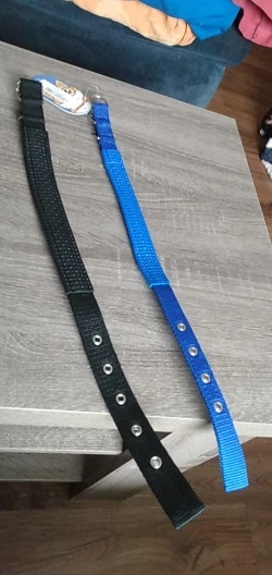 Pawfect Fit Collar: Adjustable Nylon Neck Strap with Foam Padding for Dogs and Cats photo review