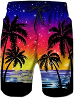 Men's Summer Sports Shorts Quick Drying Pants Sport Pants Coconut Tree Print Beach Pants Gym Pant Workout Pant Men Women Shorts 1