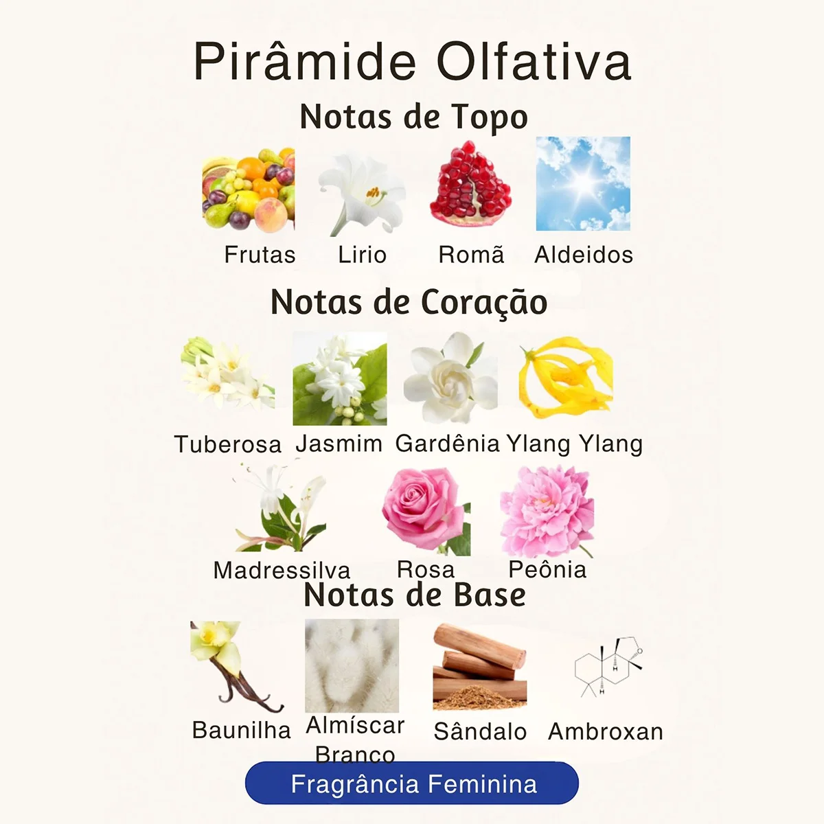 Perfume Árabe Feminino Fakhar Rosa A006 – 25ml – Floral Branco Tuberosa 6