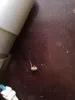 Изображение товара 2