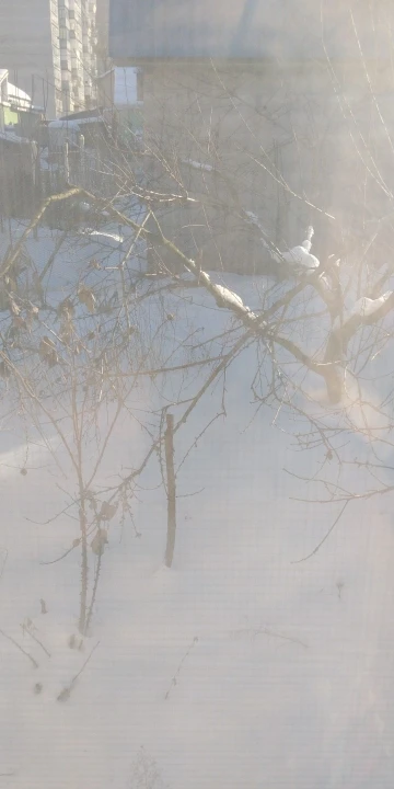 Onnfang Garden Hand Tying Machine Plant Lightweight Garden Tools Plant Tape tool for Vegetables Grapes Tomatoes Cucumbers Garden photo review