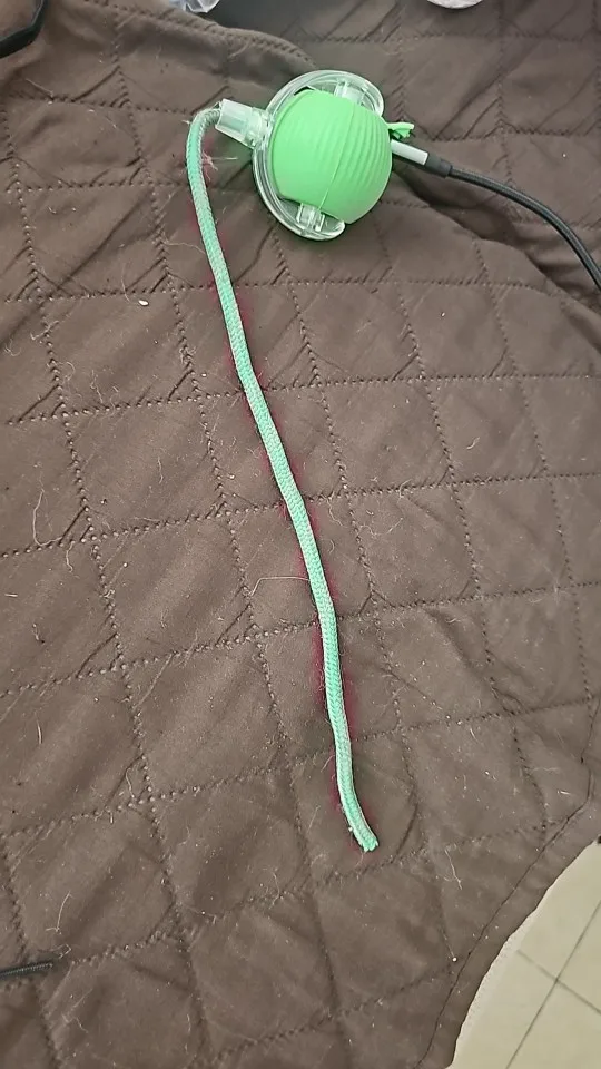 PawPulse™ Smart Motion Ball