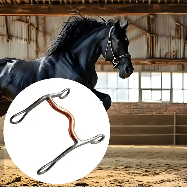 Western Horse Snaffle Chew Racing Accessory Equestrian Mouth Bit for Outdoor Horse Riding Training Equestrian Sports Competition 5