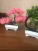 Изображение товара 3