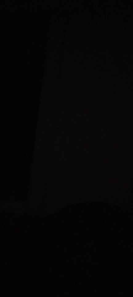 GameSir Nova Lite Controlador de mando inalámbrico con Bluetooth, Dongle, con cable para Switch, Android, IOS, PC y juegos de vapor photo review