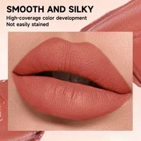 12 rouges à lèvres nude aux finitions brillantes et mates - Rouge à lèvres longue tenue, métallisé et nacré, avec des reflets scintillants et pailletés - Idéal pour un cadeau de Saint-Valentin. 3