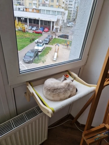 Cat Window Perch photo review