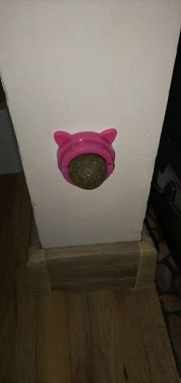 Cats Catnip Cat Toy Natural Ball Removal Cat Grass Treats to Improve Digestion Wall Sticker Scratch Itchy Treat Healthy Supplie photo review