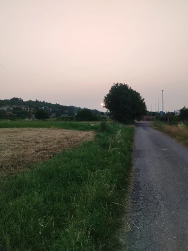 Women's Side Mesh Splicing Yoga Leggings photo review