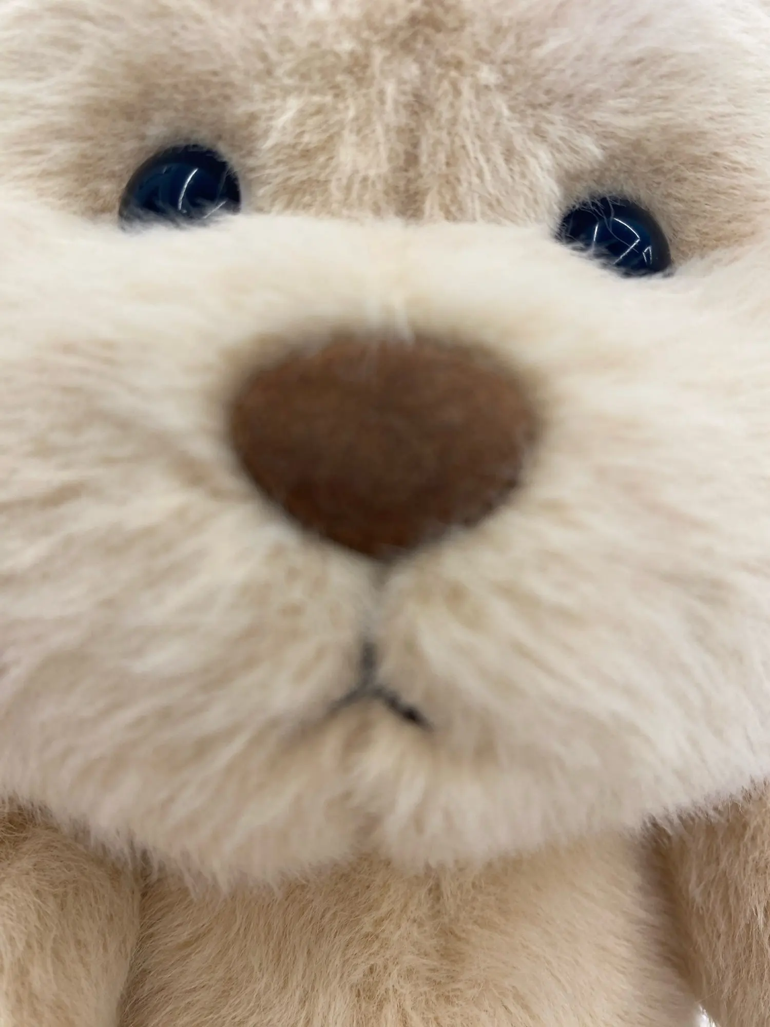 Leo der Bär