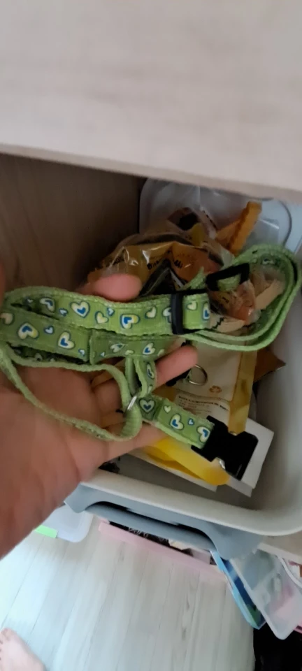 GlowSafe – Leuchtendes Halsband & Leine für maximale Sichtbarkeit bei Nacht photo review