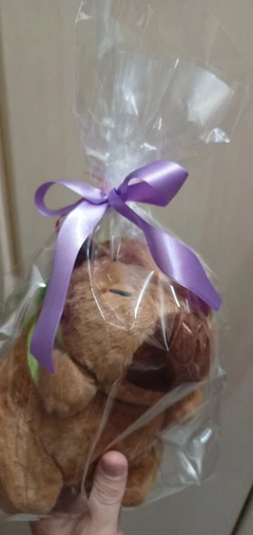 CapyNap Turtlepack Capybara Plushie