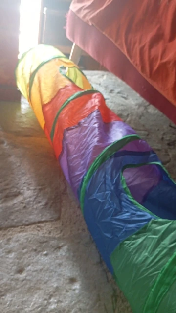 Cat Tunnel Tube Foldable Cat Toys Kitty Training Interactive Fun Toy Tunnel Bored for Puppy Kitten Pet Supplies Cat Accessories photo review